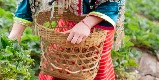 Indian Maid Agency